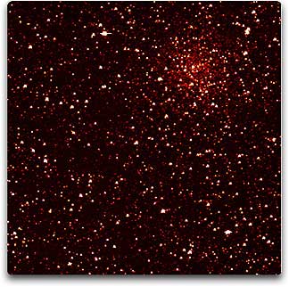 Kepler's stars