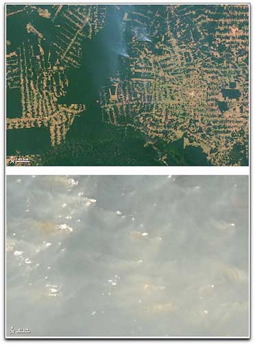 Brazil deforestation NASA Terra