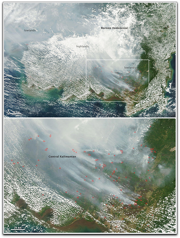 Borneo Fires MODIS Aqua NASA