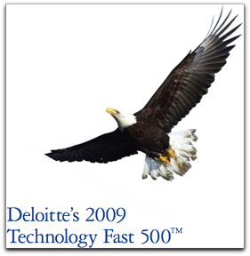 Deloitte Tech 500 graphic