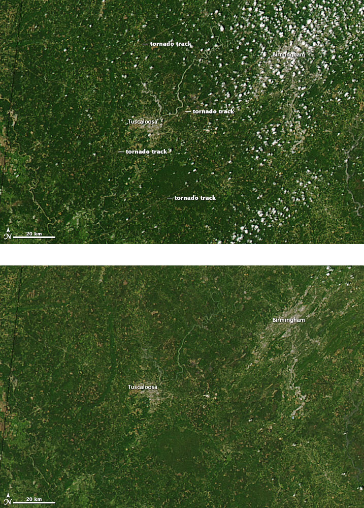 tuscaloosa tornadoes. Tuscaloosa Tornado